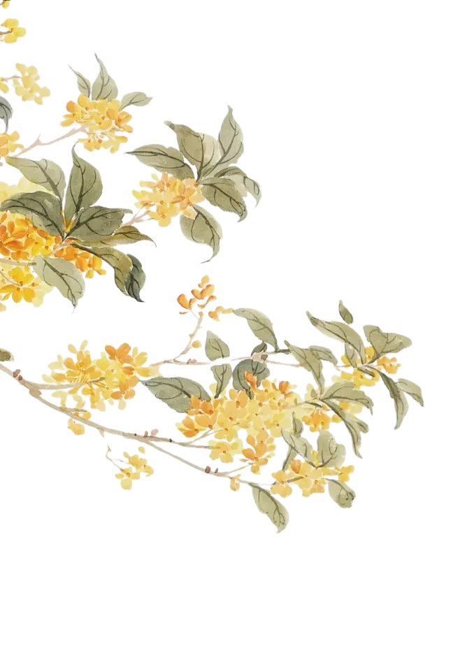 一眼惊艳,满屏考点——盘点《贺花神》中考高考涉及到的考点(下)(12月已全) 第11张 一眼惊艳,满屏考点——盘点《贺花神》中考高考涉及到的考点(下)(12月已全) 第11张