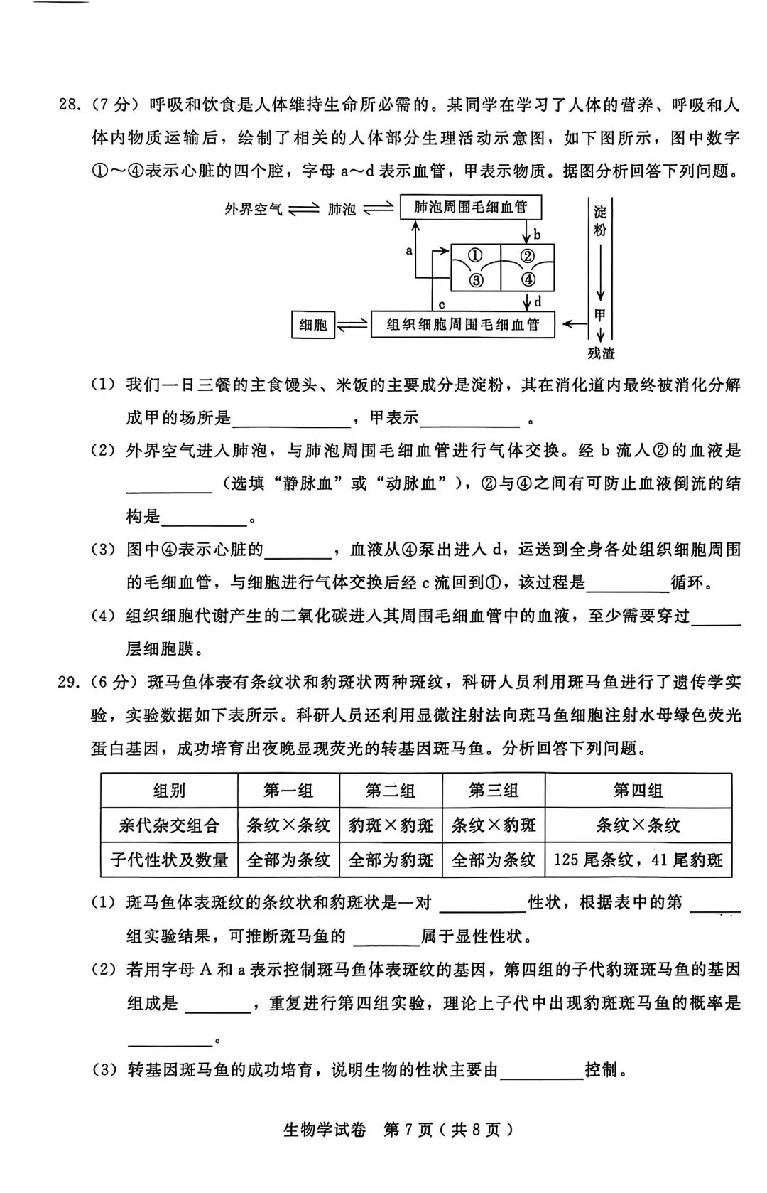 2025年河北中考生物模拟卷 第7张