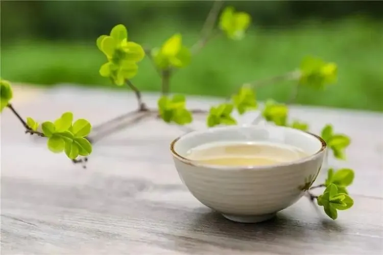 【中考阅读指导】人生若茶(黄聪) 第4张