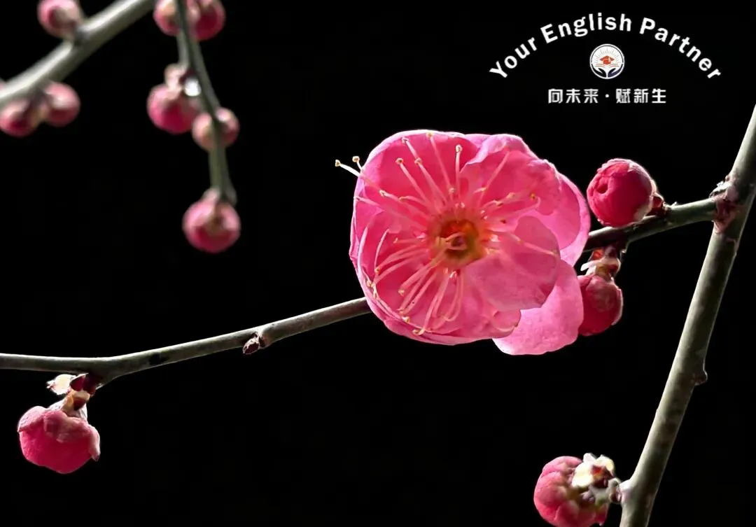 中考时文之探秘月球 第2张