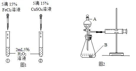 2026中考实战篇 | 专项02 基础实验-2026年中考化学 专项训练(解析版)-第2张图片-四季读书网