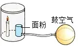 2026中考实战篇 | 专项02 基础实验-2026年中考化学 专项训练(解析版)-第5张图片-四季读书网
