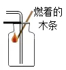 2026中考实战篇 | 专项02 基础实验-2026年中考化学 专项训练(解析版)-第12张图片-四季读书网
