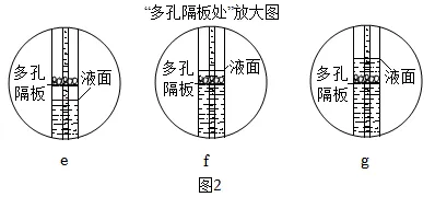 2026中考实战篇 | 专项02 基础实验-2026年中考化学 专项训练(解析版)-第21张图片-四季读书网