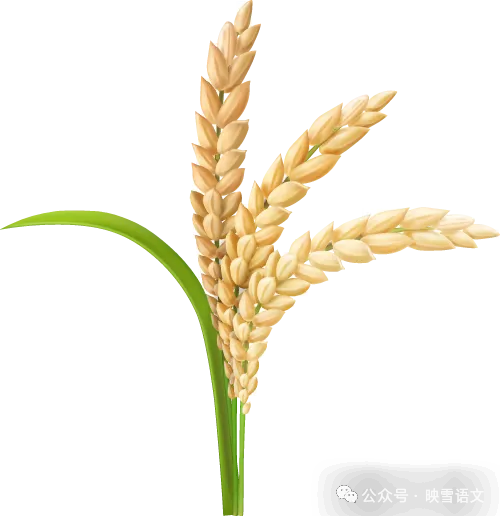 中考作文真题全攻略|《挺起胸膛》(2025山东中考) 第1张 中考作文真题全攻略|《挺起胸膛》(2025山东中考) 第1张