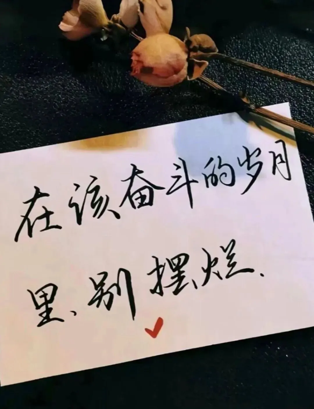 2026版初中《中考大一轮》核心考点精准突破(七科全套) 第6张