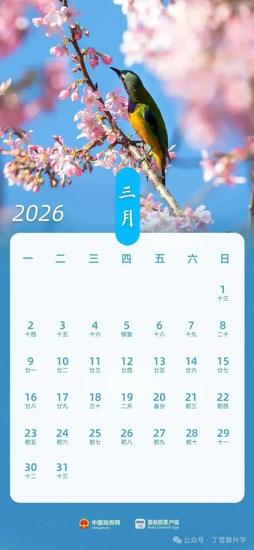 2026年青岛中小学校历及青岛中考、小升初、幼升小升学日历 第15张