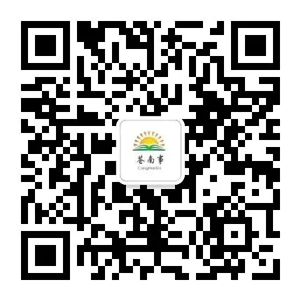 定了!2026年苍南中考报名,时间和地点… 第3张