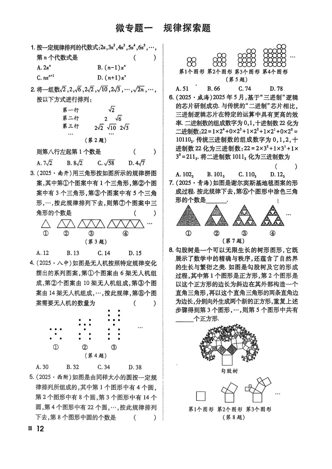 26春九年级下册数学《中考专项作业本》【192页】高清电子版可打印 第9张