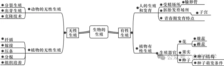 【中考复习】生物专题知识点⑧:生物的生殖和发育 第5张