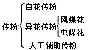 【中考复习】生物专题知识点⑧:生物的生殖和发育 第7张