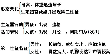 【中考复习】生物专题知识点⑧:生物的生殖和发育 第12张