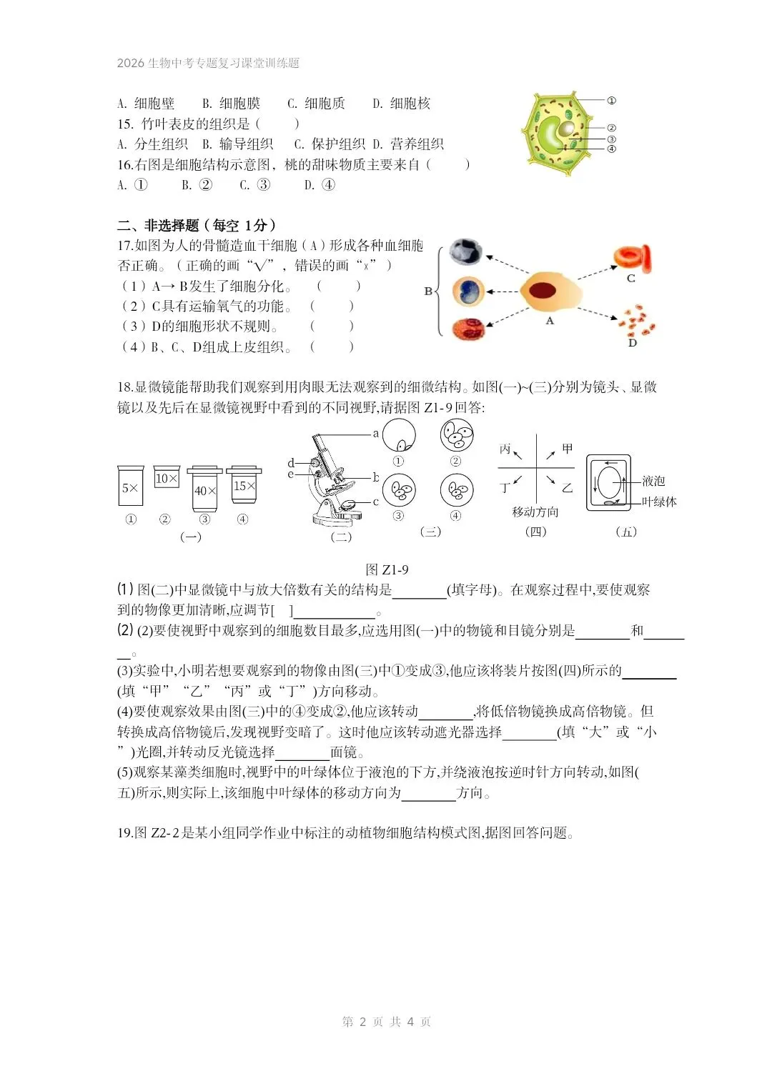 2026生物中考专题复习课堂训练题共7个专题word文档已经做好 专题一生物体的结构层次 部分截图 第3张