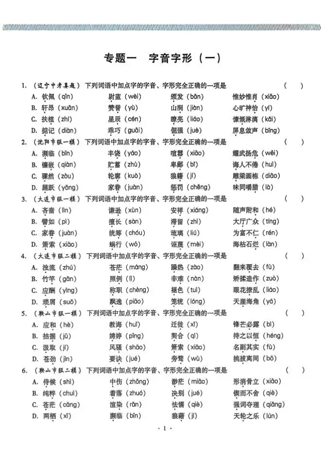 2026版中考语文《精准分类觉醒卷A版》(含答案)|可下载打印 第3张