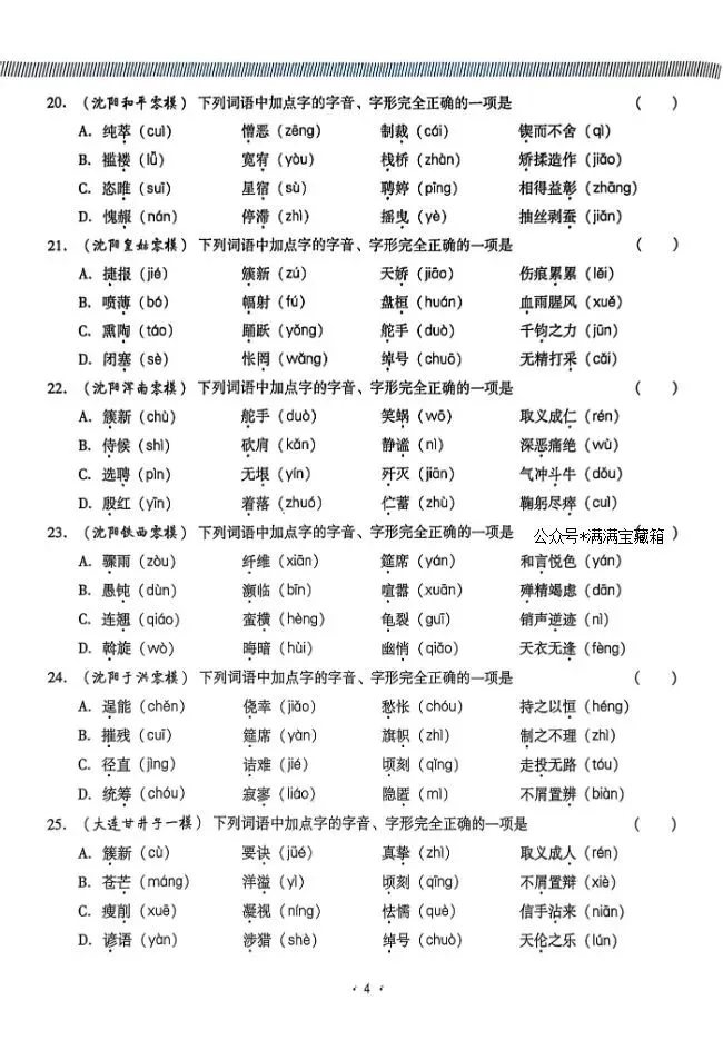 2026版中考语文《精准分类觉醒卷A版》(含答案)|可下载打印 第6张