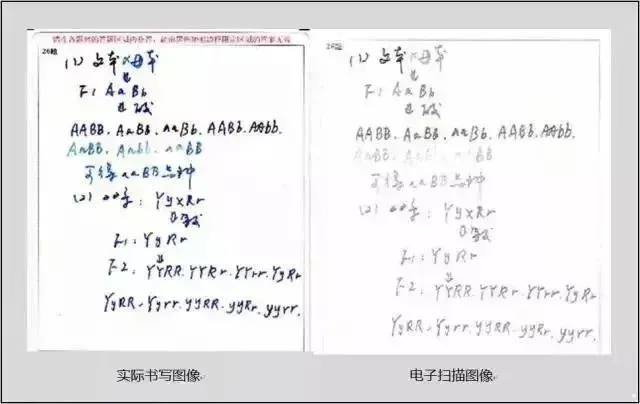 深圳中考试卷扫描后啥样?阅卷老师最讨厌哪种字体?看完期末考试少丢20分! 第3张