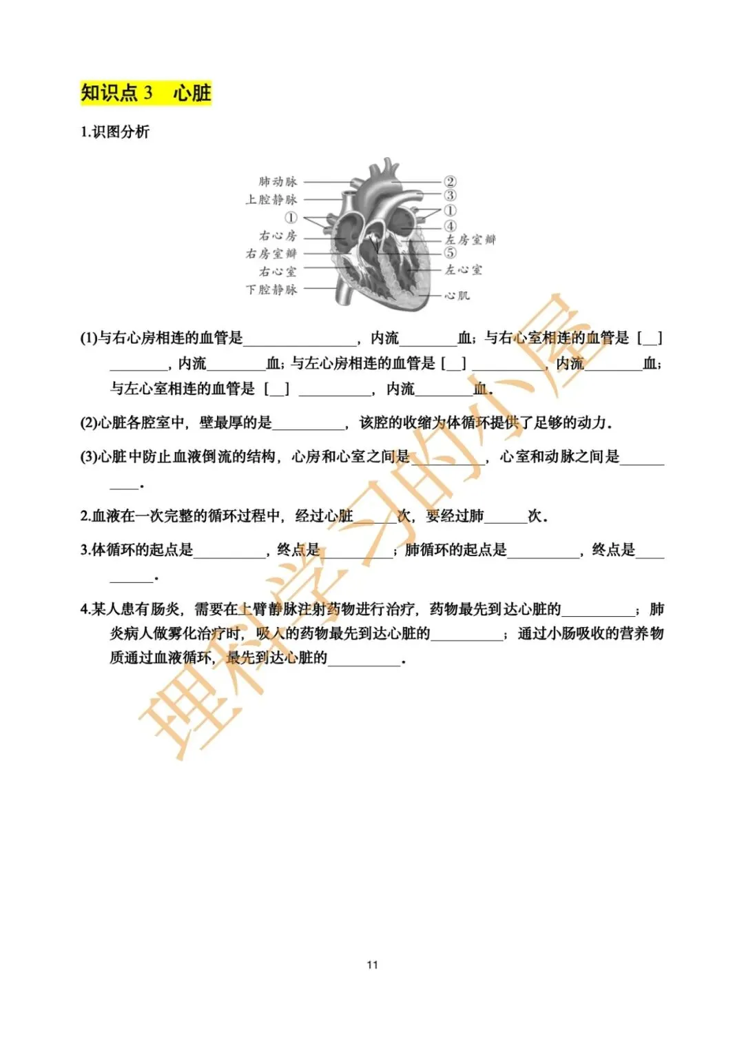 2026中考科学生物高频考点|基础10天 第11张