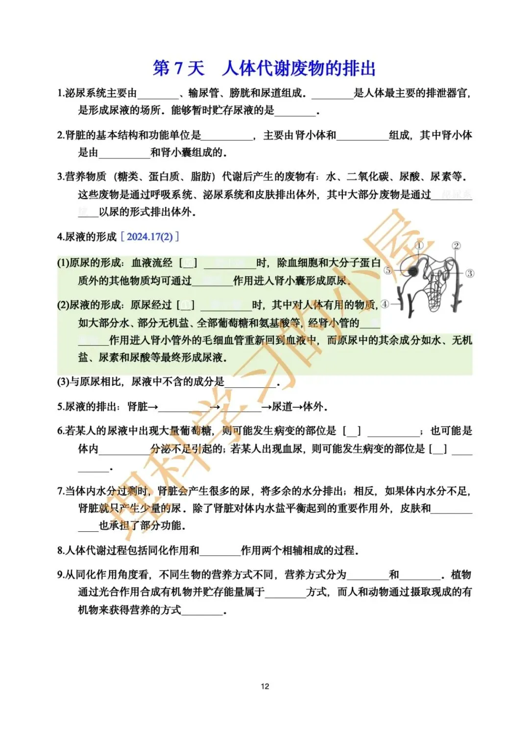 2026中考科学生物高频考点|基础10天 第12张
