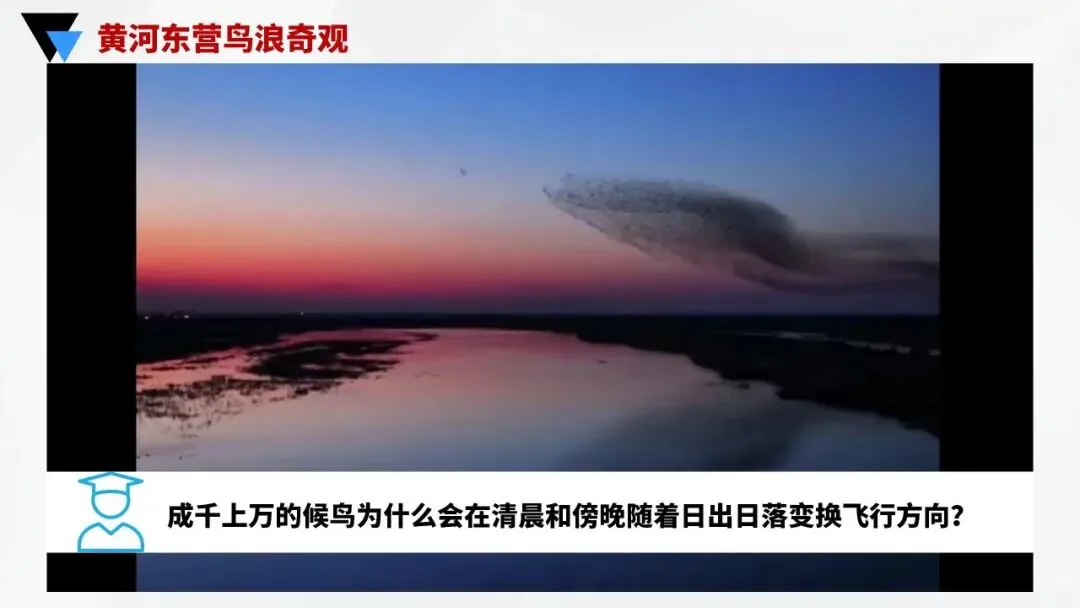 地球的运动:宇宙间的永恒舞步,中考地理必学核心规律 第14张