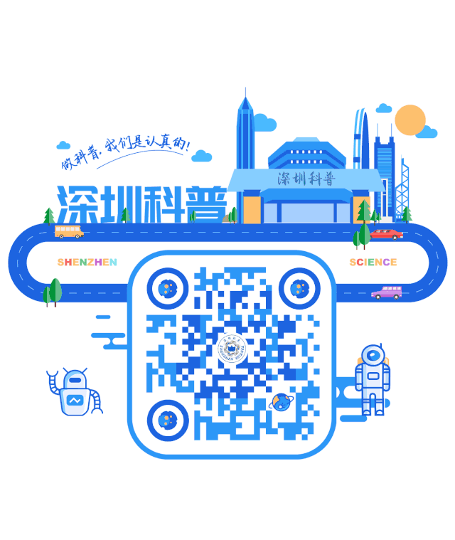深圳中考或将突破15万大关!2026年考生家长必看:这三条升学路径现在就要布局 第9张