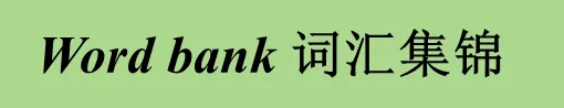 押题2026中考时文阅读-央视春晚〈Wu BOT〉见证中国科技进化史 第2张 押题2026中考时文阅读-央视春晚〈Wu BOT〉见证中国科技进化史 第2张