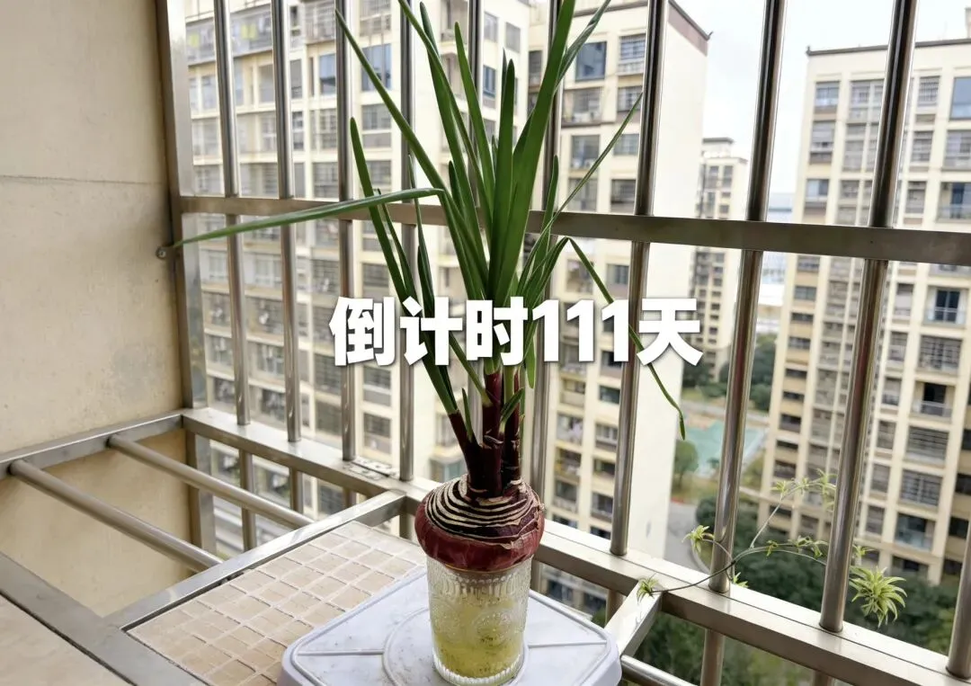 ||中考倒计时111天 君向潇湘我向秦 第1张