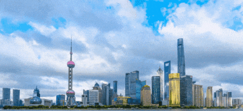 上海中考“稳”护航教育,落户“松”广纳贤才 第19张 上海中考“稳”护航教育,落户“松”广纳贤才 第19张