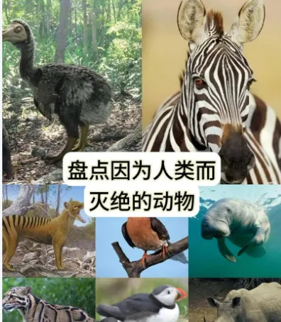 重庆中考英语新题型概要补全练习12参考答案 第1张 重庆中考英语新题型概要补全练习12参考答案 第1张