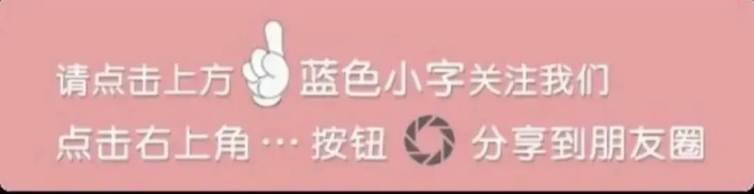 2026上海寒假二模中考数学18/22/23/25专题课视频课程 第2张