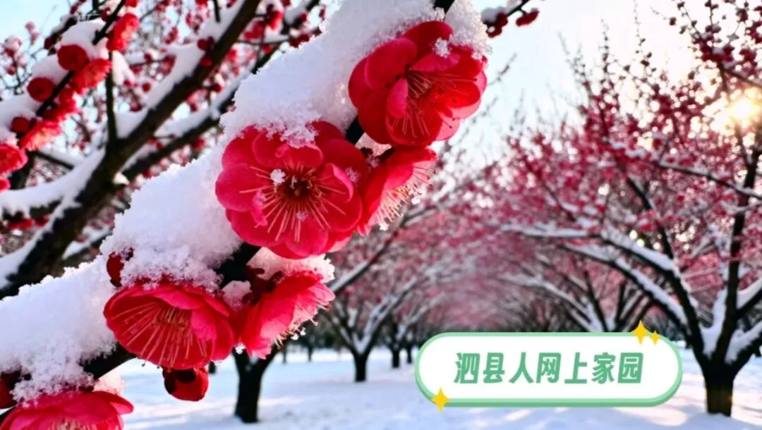 事关中考!一市教育局最新提醒! 第3张