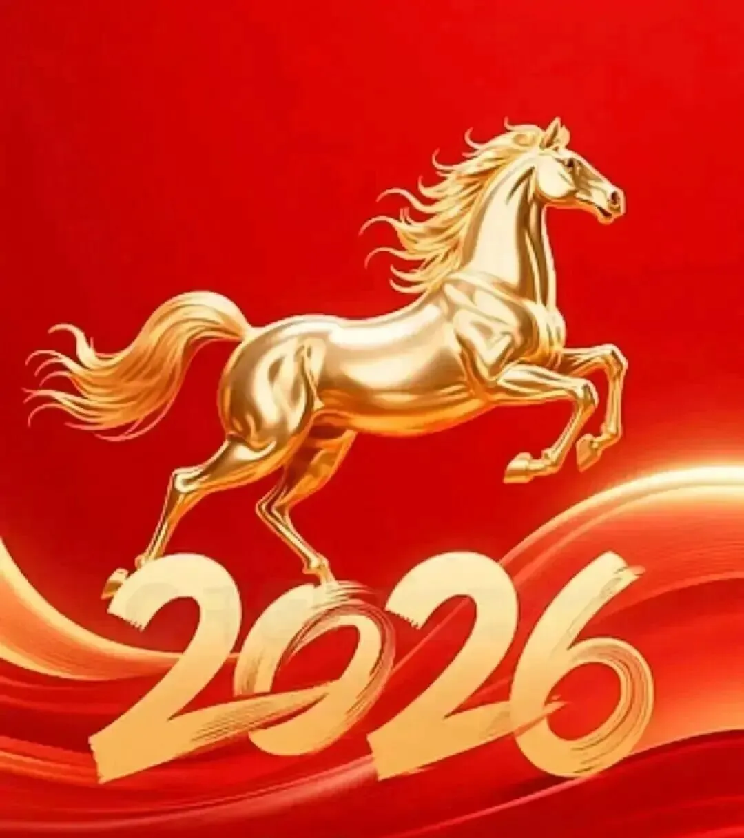 2026中考语文制胜法宝,收藏 第4张