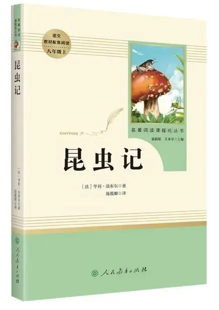 3月启程 · 适合4-9年级 |『中考必读名著精读营』、『暖熊老师的思辨读书会』全新主题 第10张