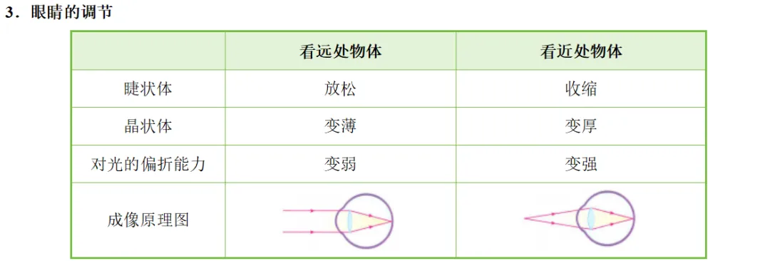 2026年中考物理知识清单|透镜及其应用-第18张图片-四季读书网
