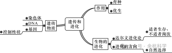 【中考复习】生物专题知识点⑨:遗传与进化-第5张图片-四季读书网