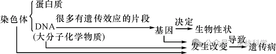 【中考复习】生物专题知识点⑨:遗传与进化-第7张图片-四季读书网