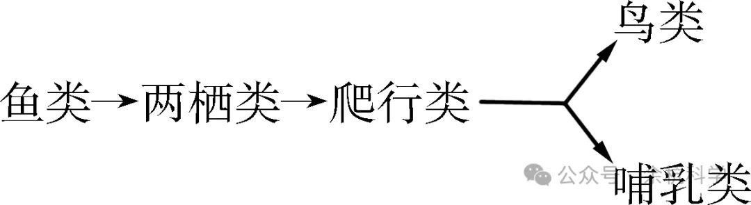 【中考复习】生物专题知识点⑨:遗传与进化-第8张图片-四季读书网