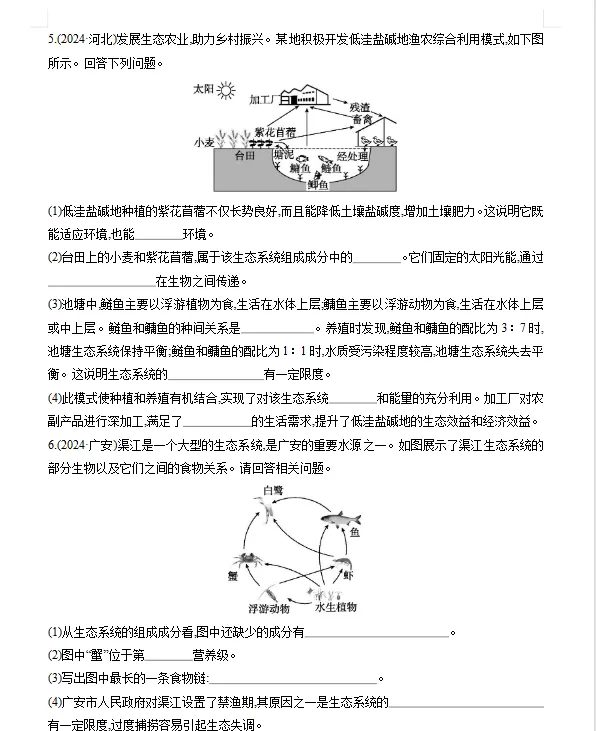 2026年初中【生物】中考总复习生物专题练习及解析——认识生物+了解生物圈 第9张