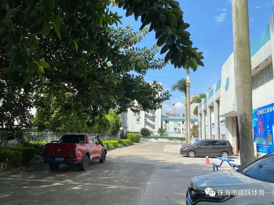 学排球+跳绳,迎中考,2026年峰跃春季班招生 第12张