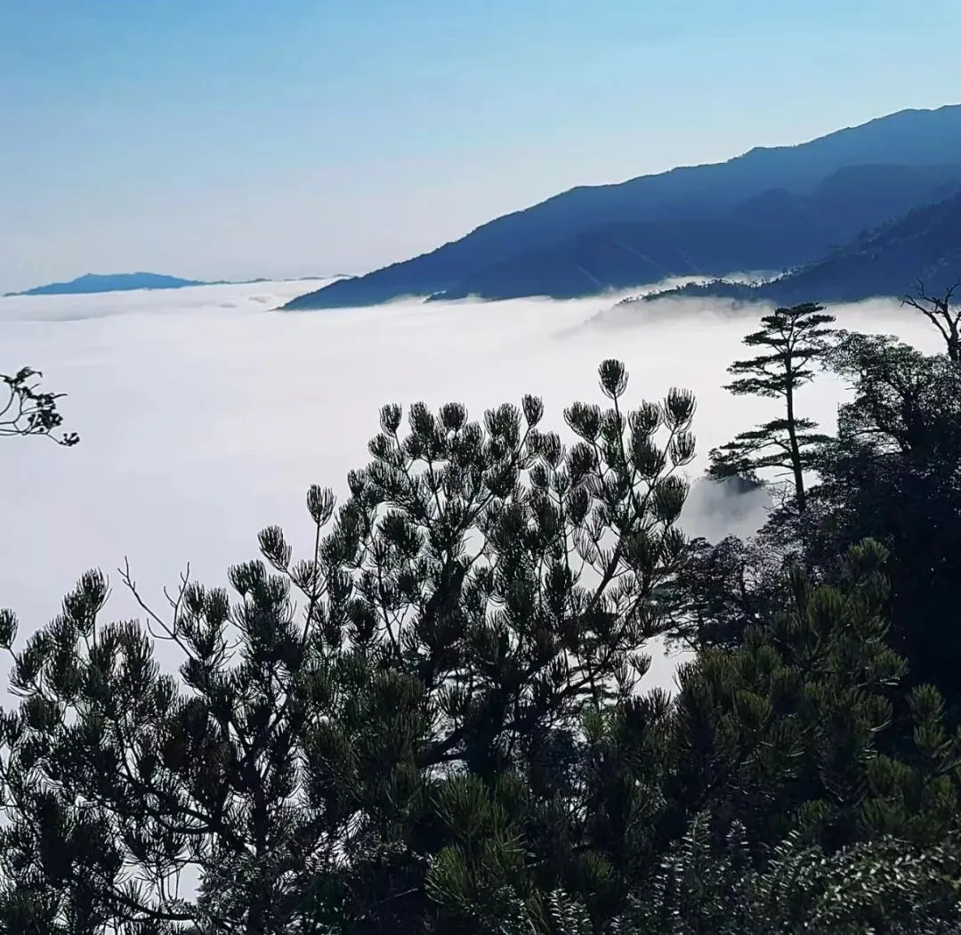【助力中考】初中必须掌握精彩范文127 第5张