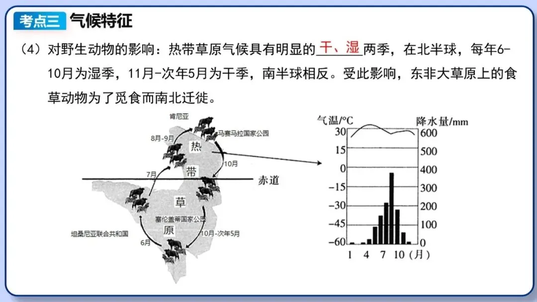 2026年中考地理复习专题八:认识大洲(湘教版)-第32张图片-四季读书网