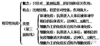 【中考复习】生物专题知识点⑩:人、健康与环境 第7张
