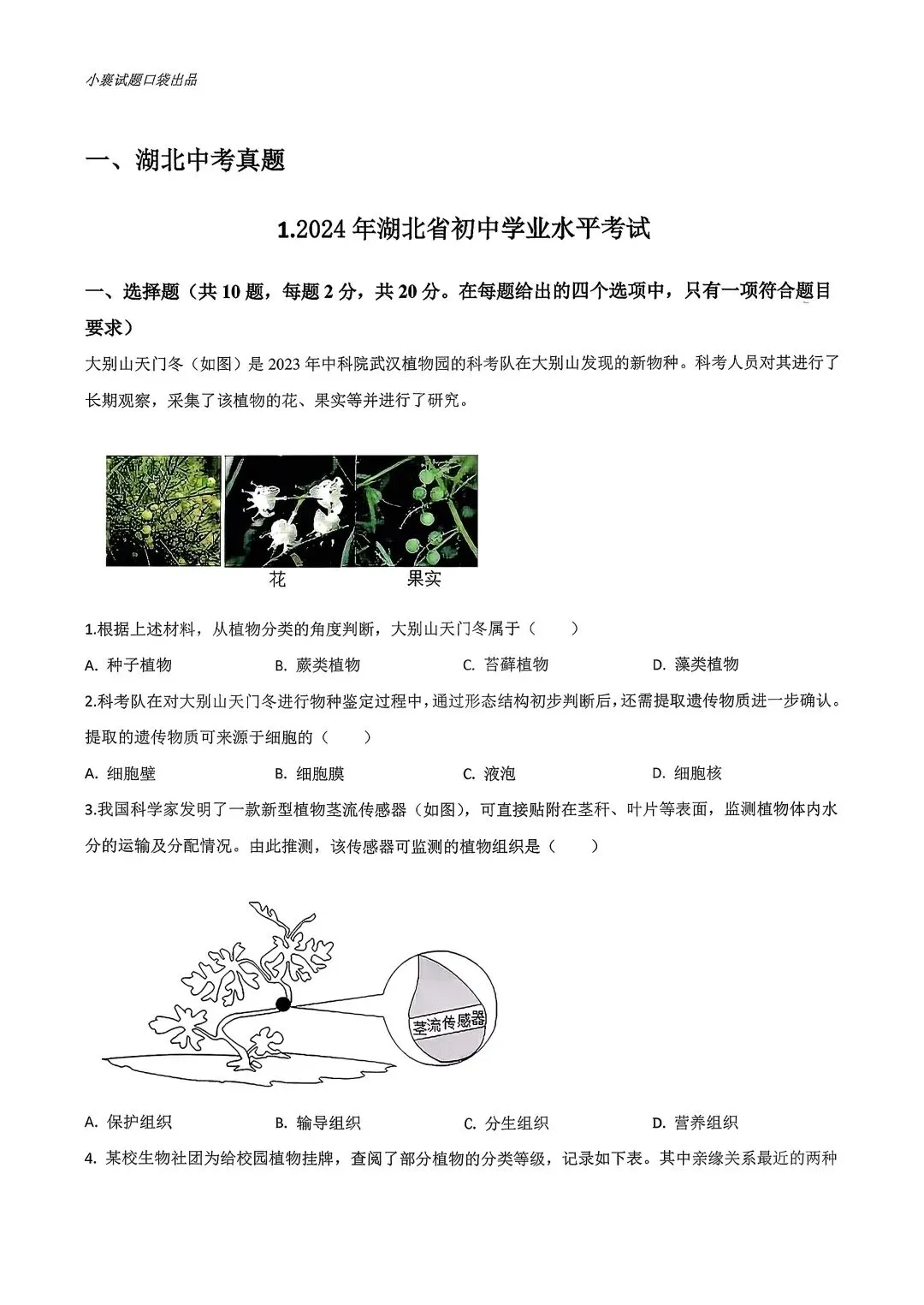 2025年湖北省八九年级中考模拟历次联考合集(各科) 第4张