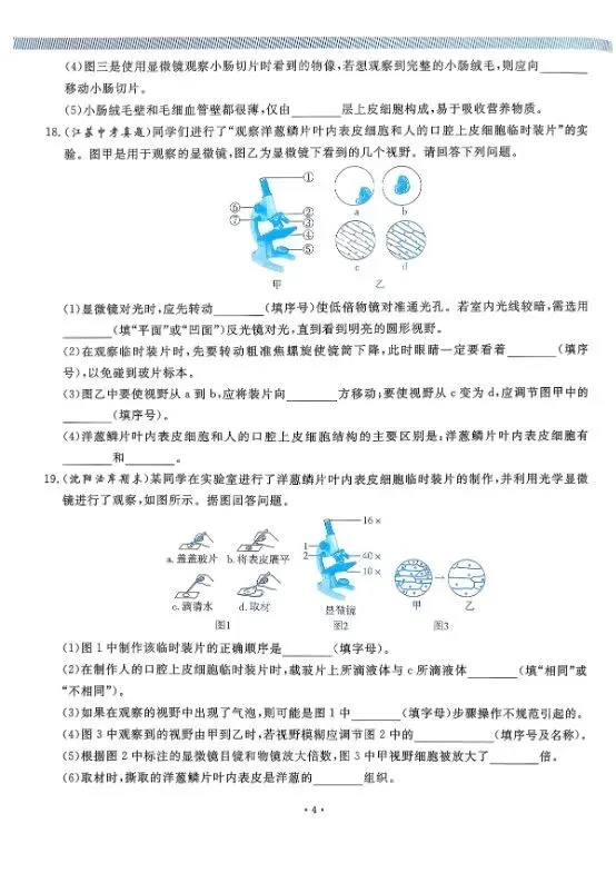 2026版中考生物《精准分类觉醒卷A版》(含答案)|可下载打印 第6张