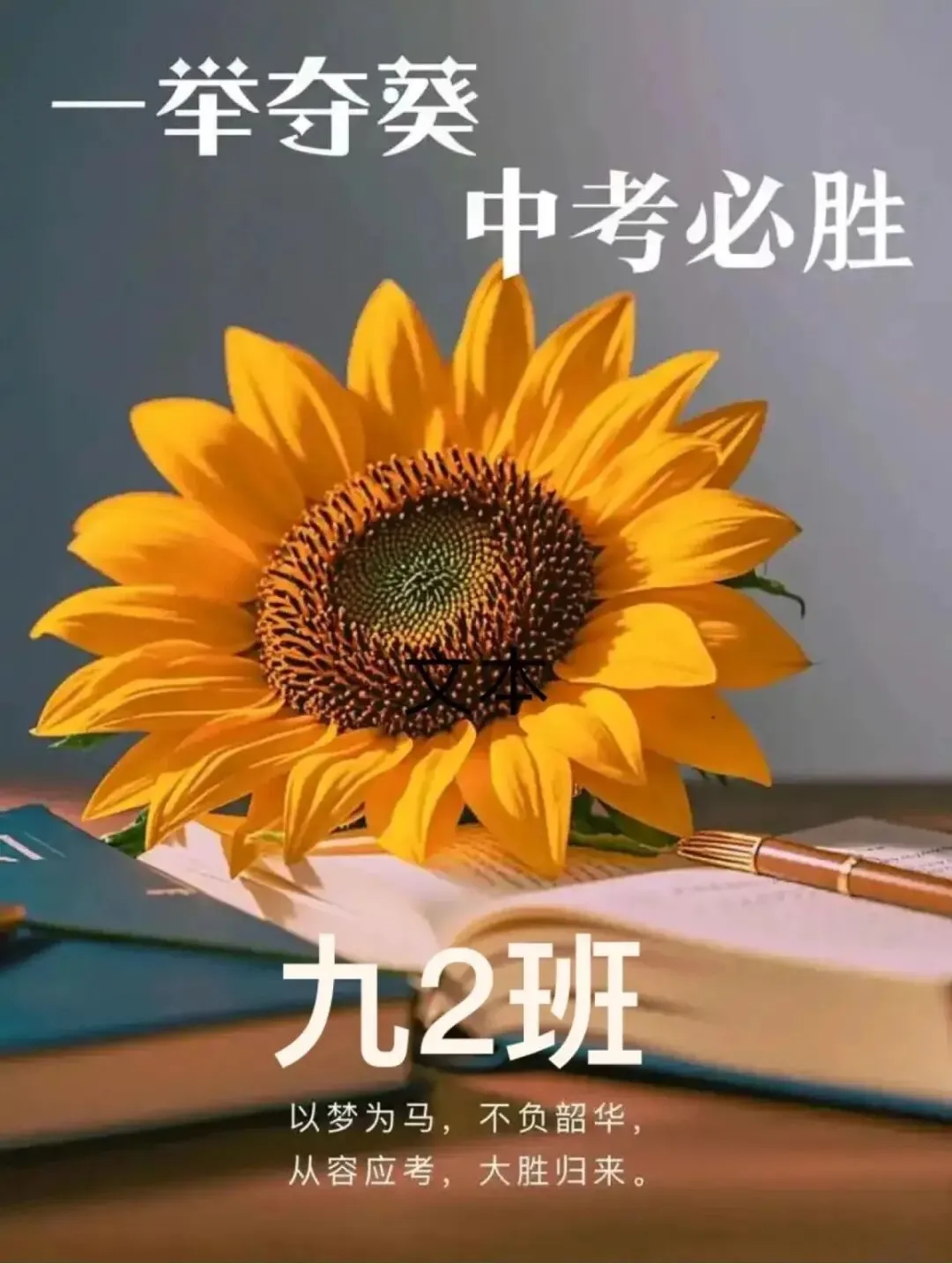 冲刺中考复习计划 第1张