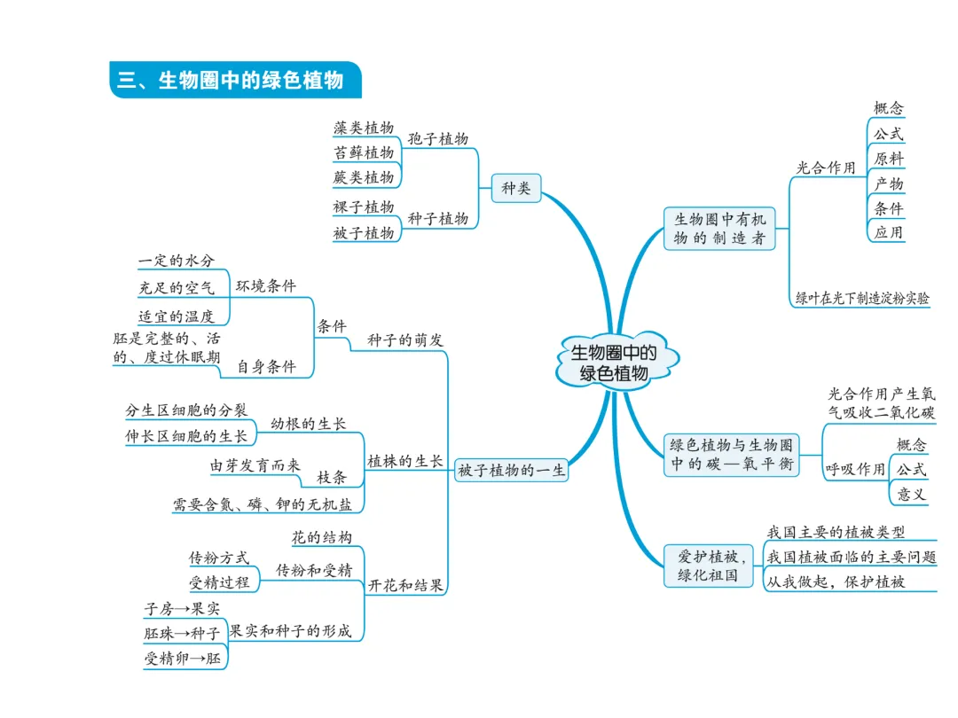 初中生物中考复习知识点思维导图 第4张