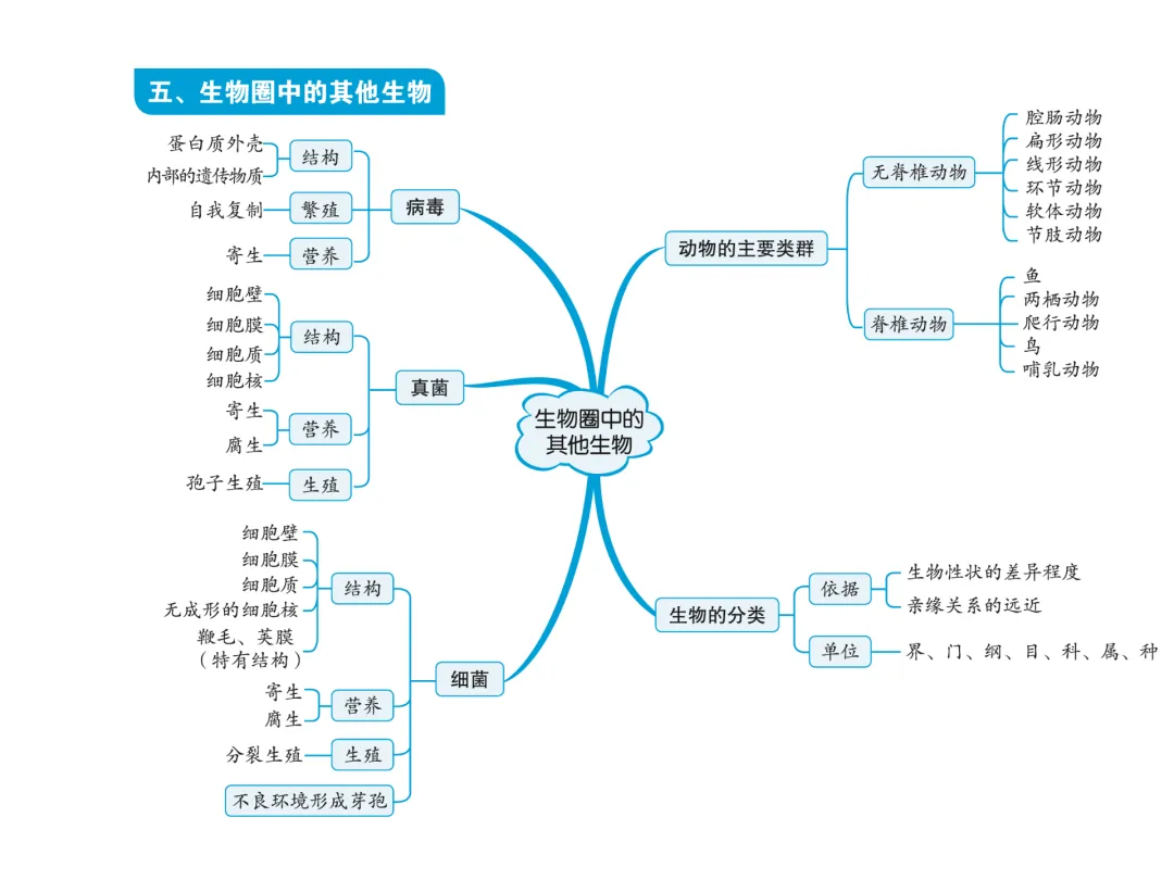 初中生物中考复习知识点思维导图 第6张