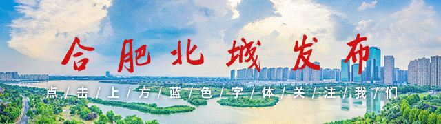 最新!长丰中考体育实施方案发布 第1张