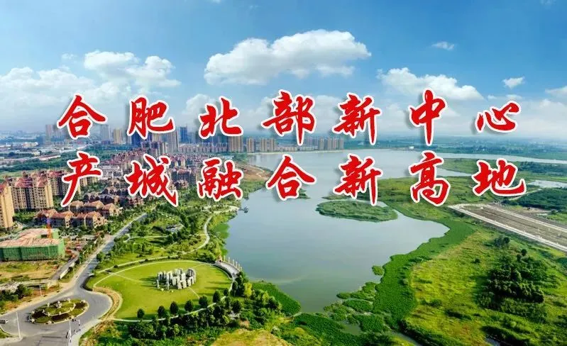 最新!长丰中考体育实施方案发布 第13张