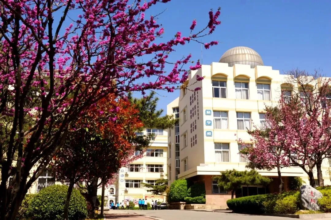 【17中•中考资讯】学长学姐成长手记︱2024级11班 李雅琦:我的十七中时光与馈赠 第12张 【17中•中考资讯】学长学姐成长手记︱2024级11班 李雅琦:我的十七中时光与馈赠 第12张