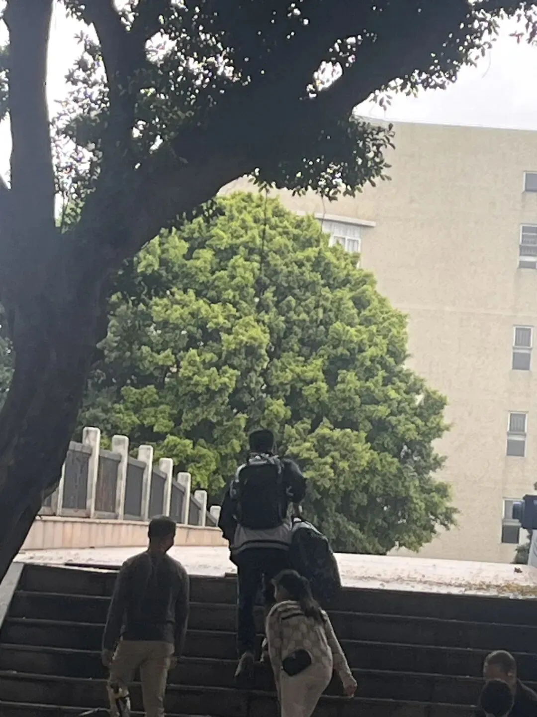 小牛中考日记——(十)开学季,几家欢喜几家愁 第4张